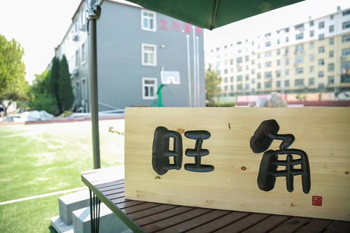 東營藝術(shù)生文化課輔導(dǎo) 理性選擇與科學(xué)備考——以濟(jì)南立行學(xué)校科技指導(dǎo)為例